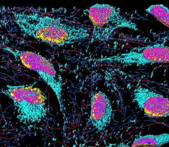 A New NIH Resource on the Lasting Legacy of Henrietta Lacks